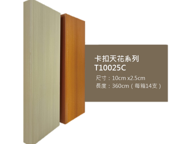 T10025C
